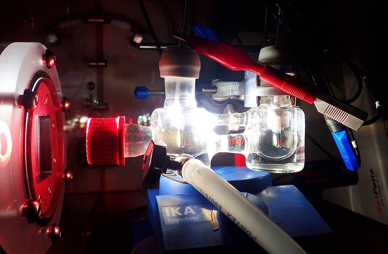 Wasserstoff aus semi-artifizieller Photosynthese