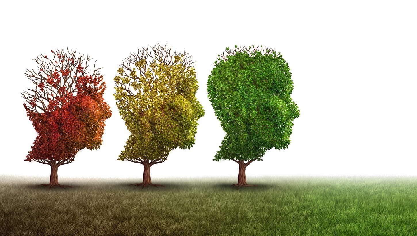 Zelluläre Verjüngungskur gegen Alzheimer?