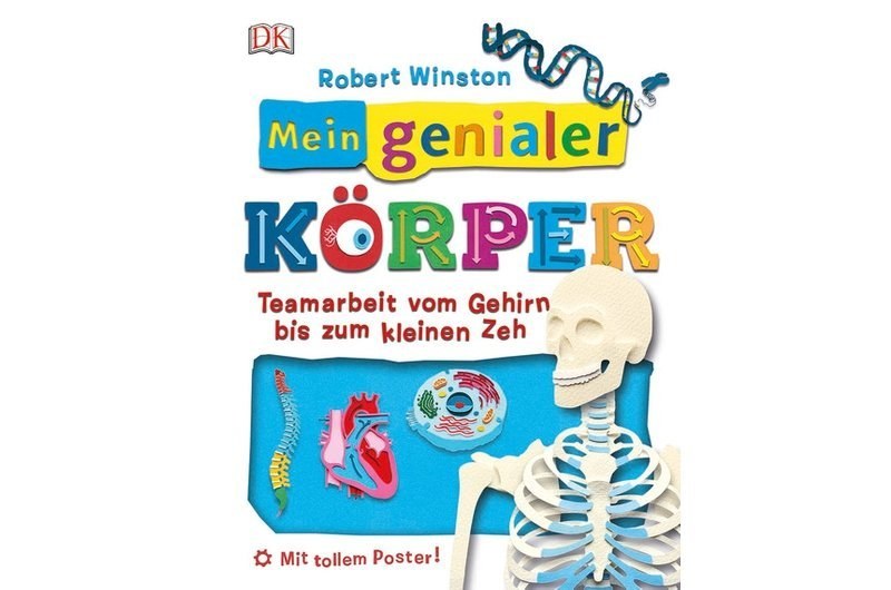 Von Kopf bis Fuß