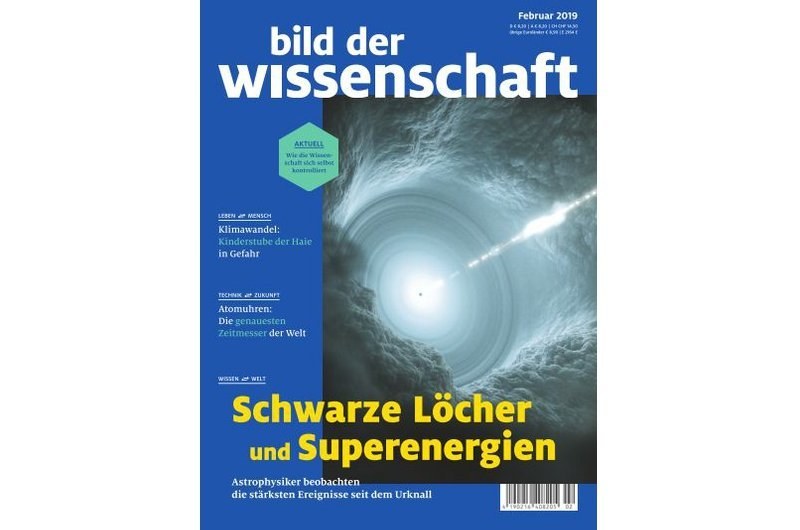bild der wissenschaft 02-19