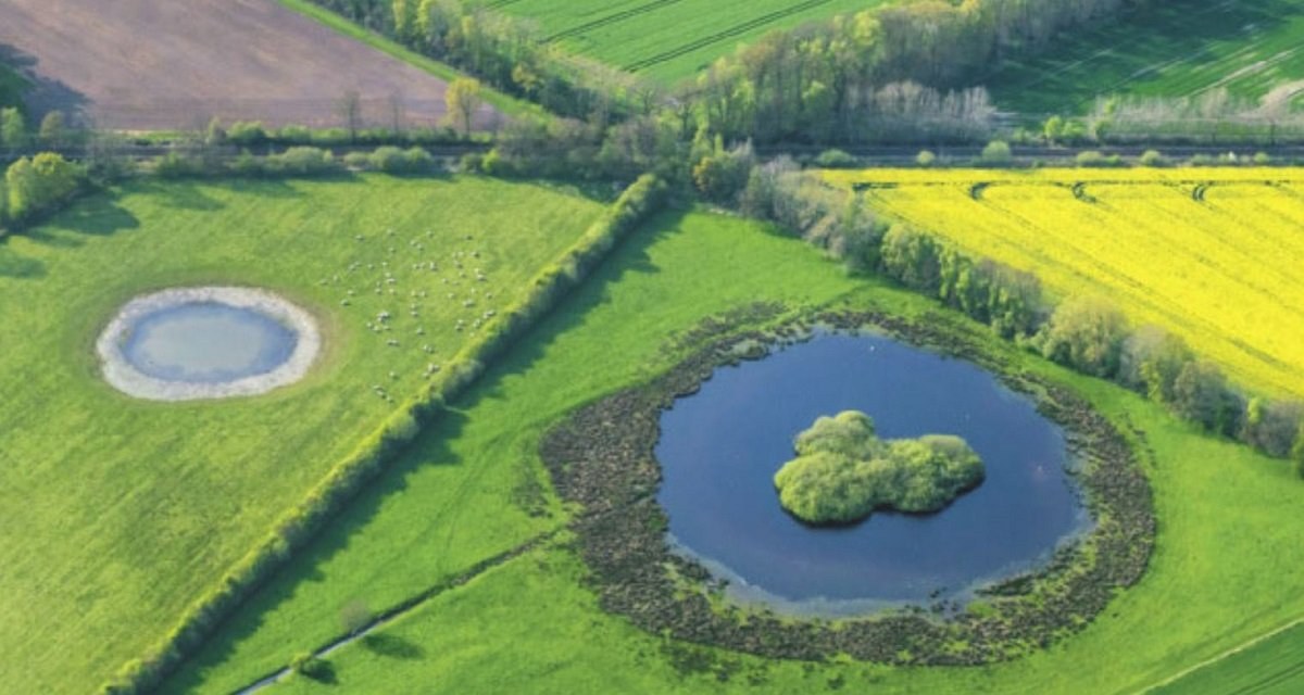Der Umbau der Natur