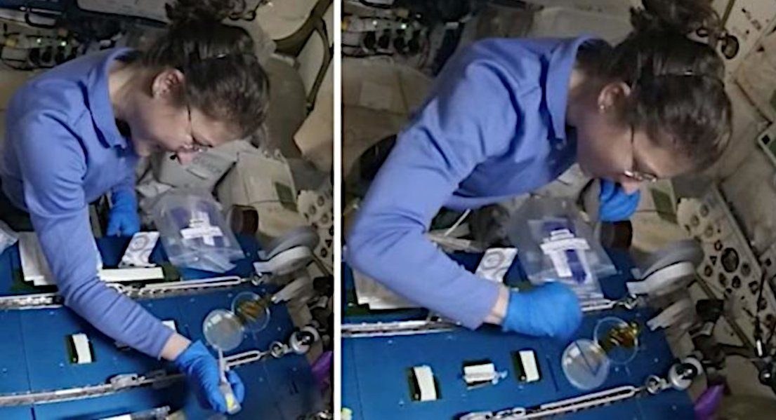 Astronauten schneiden mit der Genschere
