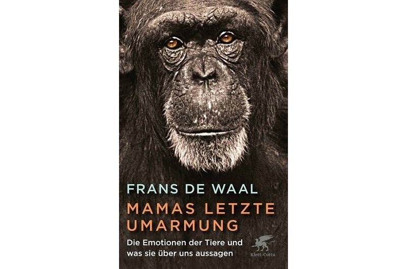 Der Mensch, ein moderner Bonobo?
