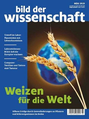 Weizen für die Welt