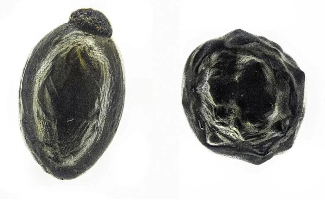 Mini-Meteorite vom Hausdach analysiert