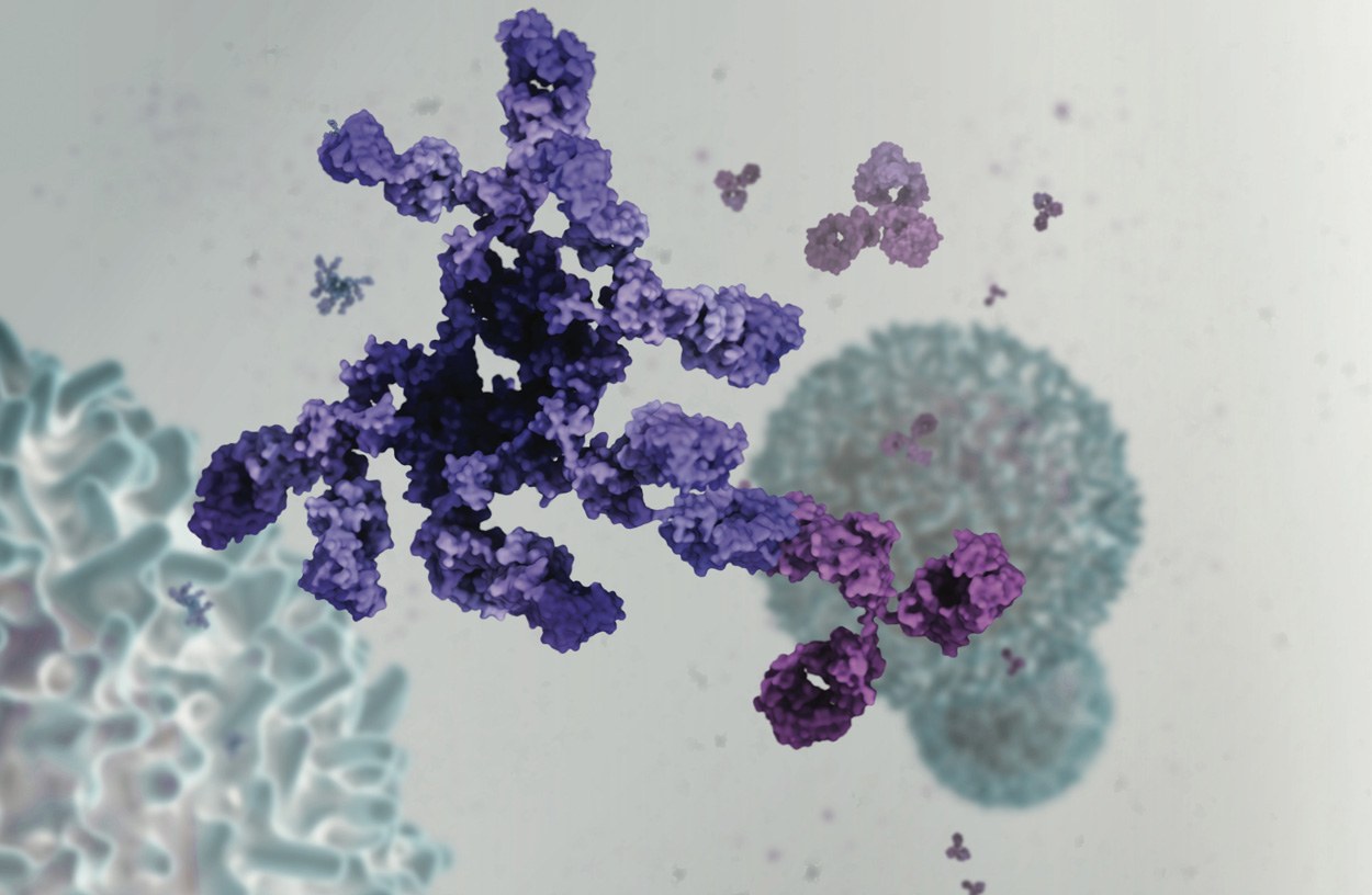 Warum Immuntherapien anfälliger für Infektionen machen
