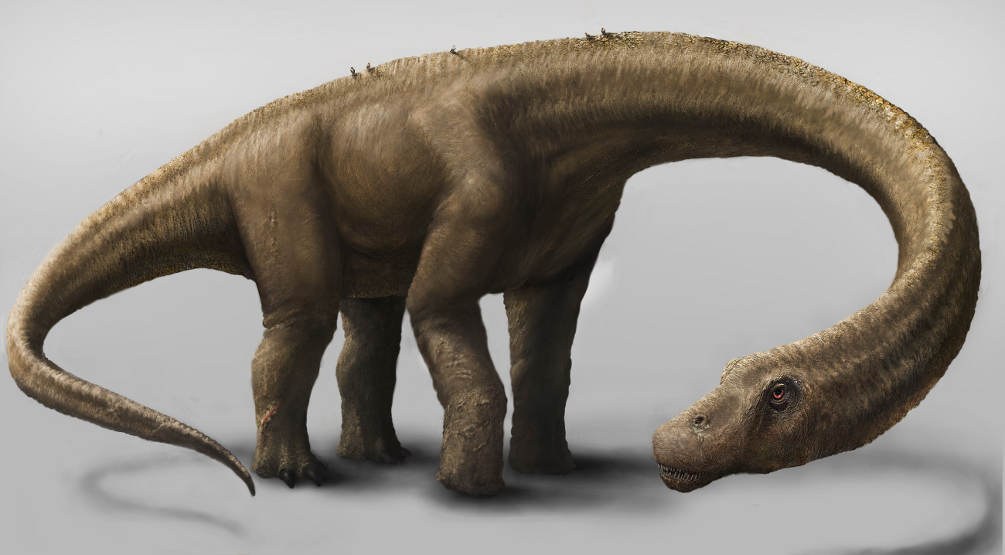 Neuer Mega-Dino entdeckt
