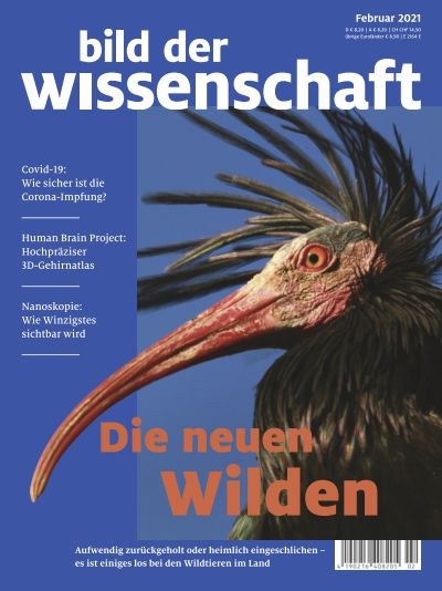 Die neuen Wilden