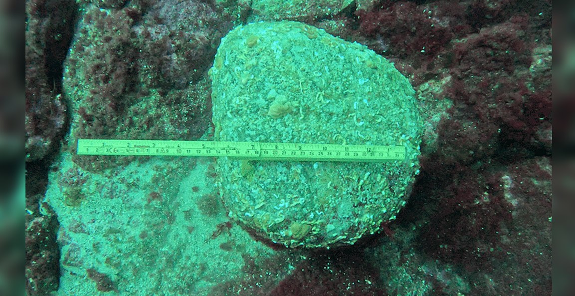 Archäologen finden den ältesten Anker der Welt