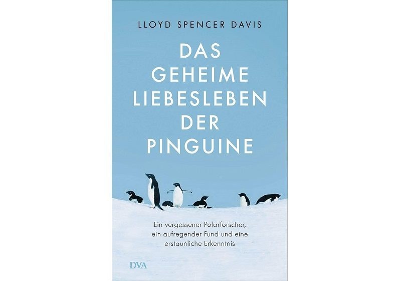 Betrug, Prostitution und Gewalt