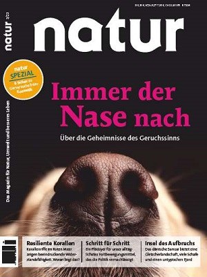 Immer der Nase nach