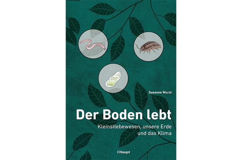 Die Bedeutung des Bodens