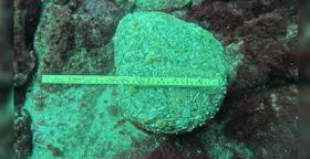 Archäologen finden den ältesten Anker der Welt