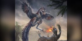 Neu entdeckter Urvogel verzichtete aufs Fliegen
