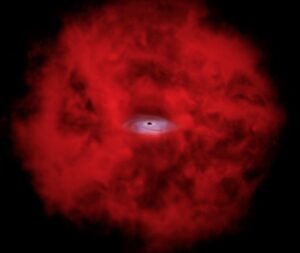 Black Hole Star